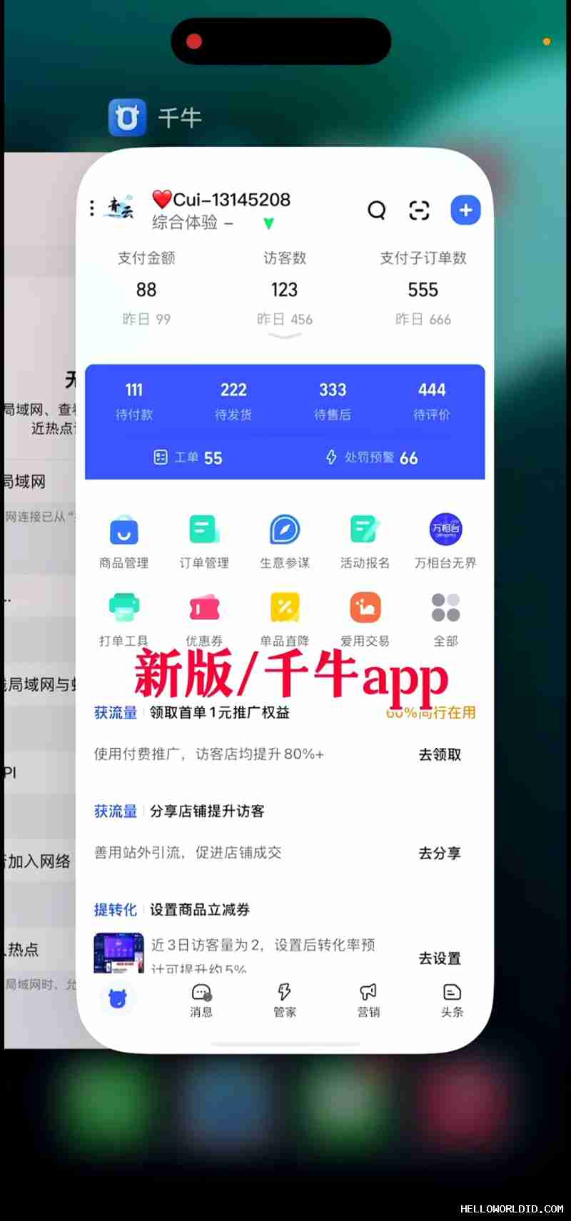  helloworld下载 电脑版多开窗口同时管理多个店铺账号 段落插图 1